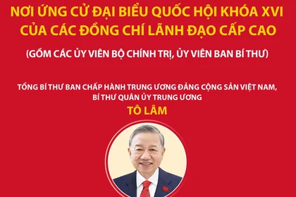 Các đồng chí lãnh đạo cấp cao ứng cử đại biểu Quốc hội khóa XVI
