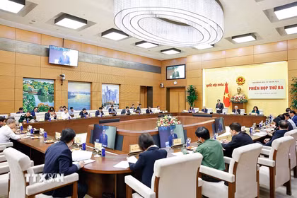 Phiên họp thứ ba của Hội đồng Bầu cử quốc gia. (Ảnh: Doãn Tấn/TTXVN)