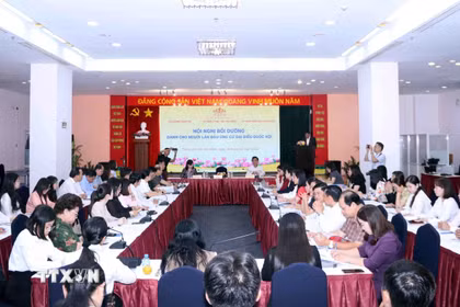 Quang cảnh Hội nghị. (Ảnh: Xuân Khu/TTXVN)