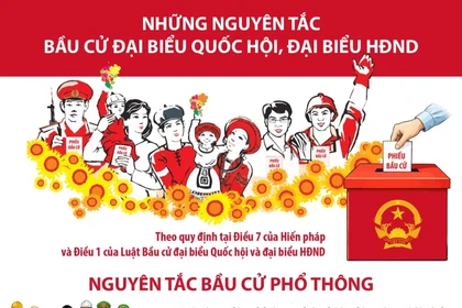 Những nguyên tắc bầu cử đại biểu Quốc hội, đại biểu Hội đồng nhân dân