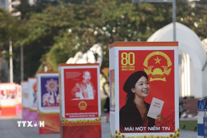 Ảnh minh họa. (Ảnh Đặng Tuấn/TTXVN)