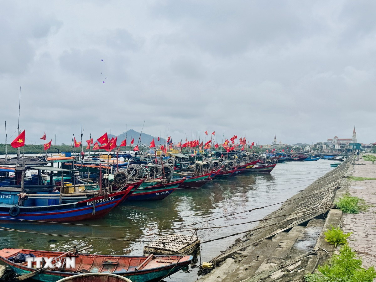 (Ảnh: Hoàng Ngà/TTXVN)