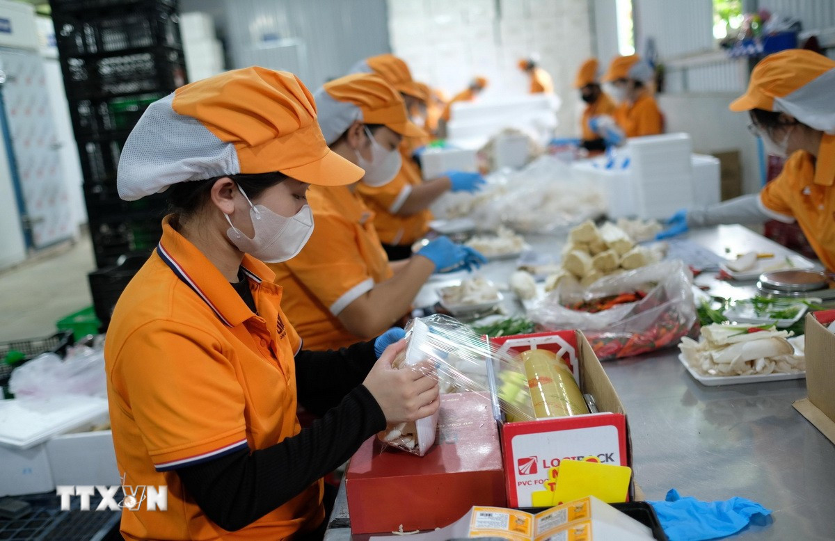 Kinh tế tư nhân là lực lượng tiên phong để thúc đẩy tăng trưởng, tạo việc làm, nâng cao năng suất. (Ảnh: Nguyễn Dũng/TTXVN)