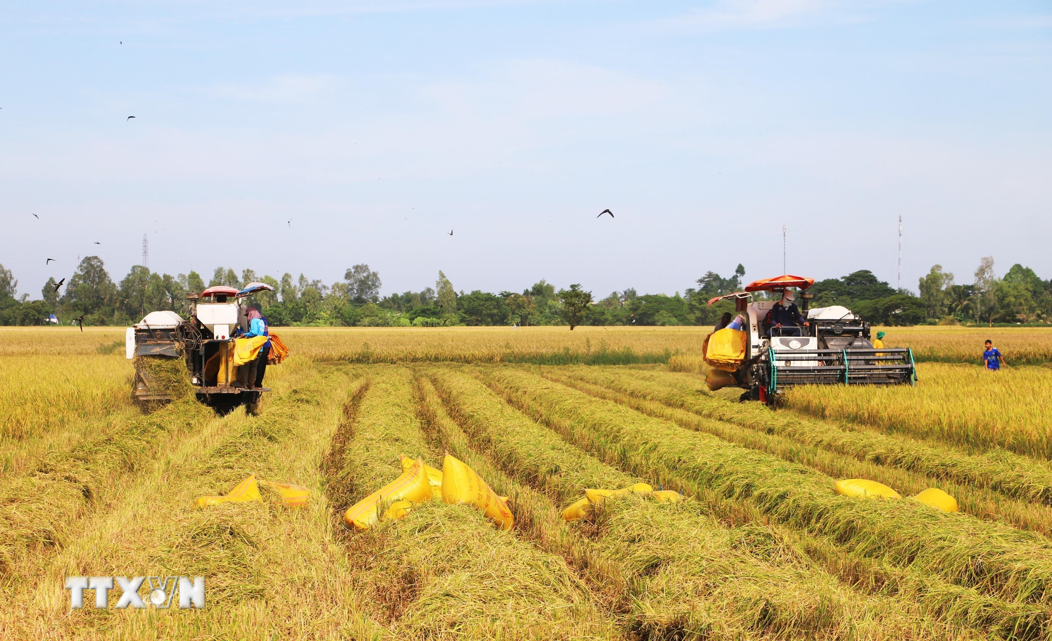 Các chính sách đột phá cùng sự khẩn trương trong triển khai mang lại cho người dân nhiều kỳ vọng về chất lượng cuộc sống mới. (Ảnh: TTXVN/Vietnam+)