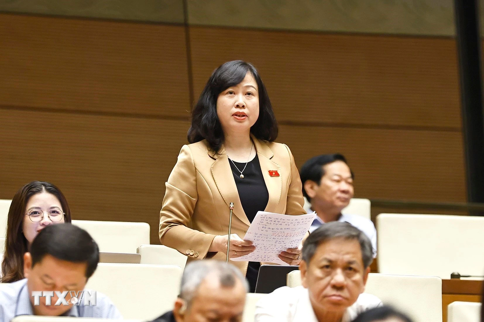 Bộ trưởng Bộ Y tế Đào Hồng Lan. (Ảnh: Doãn Tấn/TTXVN)