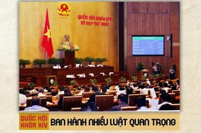 Quốc hội khóa XIV: Ban hành nhiều luật quan trọng