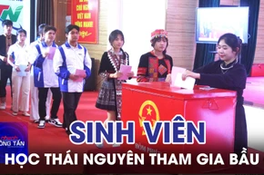 Sinh viên Đại học Thái Nguyên tham gia bầu cử 