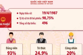 Kết quả bầu cử đại biểu Quốc hội khóa VIII