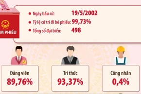 Kết quả bầu cử đại biểu Quốc hội khóa XI