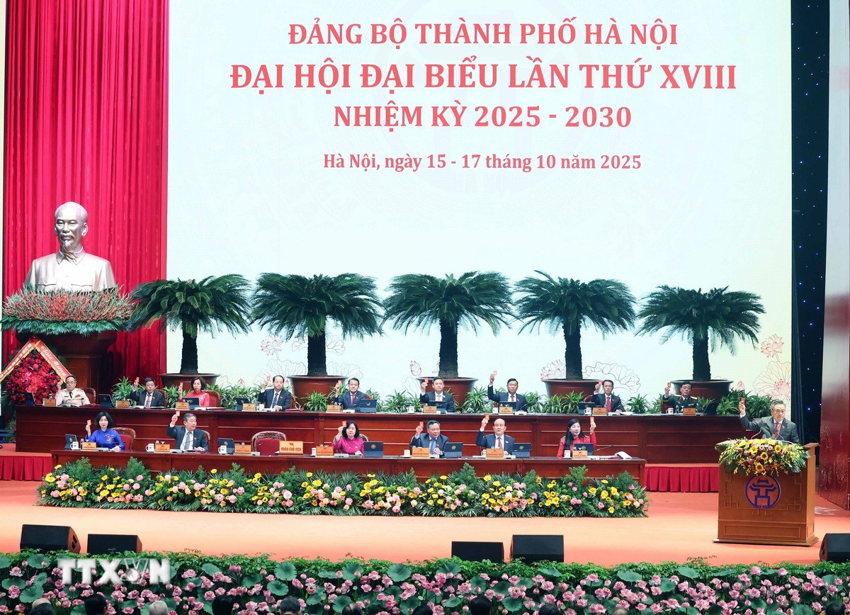 ttxvn-khai-mac-dai-hoi-dai-bieu-dang-bo-thanh-pho-ha-noi-5.jpg