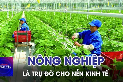 Nông nghiệp liên tục tăng trưởng và là trụ đỡ cho nền kinh tế 