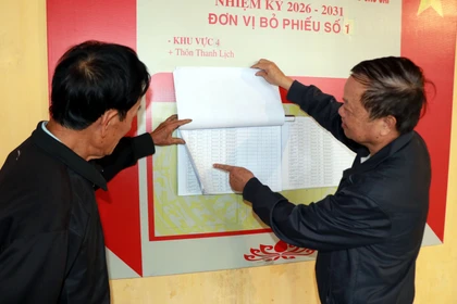 Người dân tra cứu danh sách cử tri. (Ảnh: Nguyễn Lành/TTXVN)