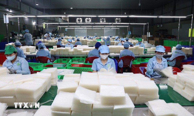 Hoạt động sản xuất tại một doanh nghiệp ở Tây Ninh. (Nguồn: TTXVN)