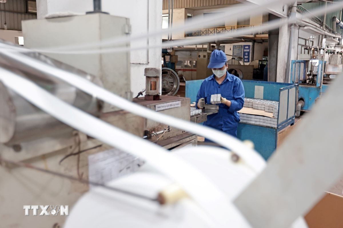 (Ảnh: Trần Việt/TTXVN)