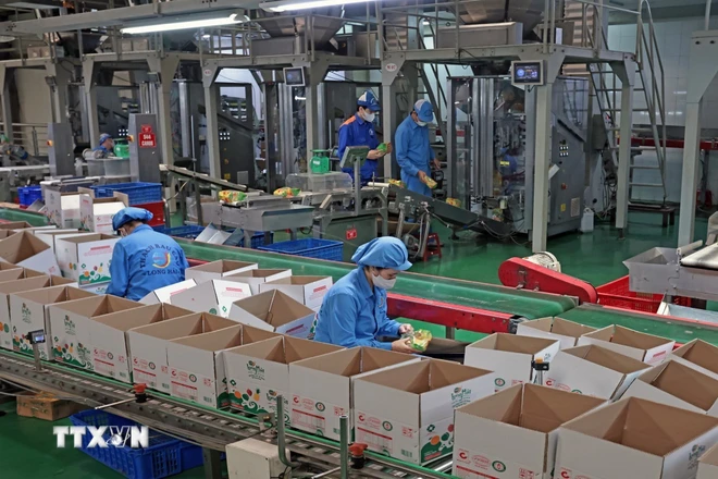 Công ty TNHH Long Hải, Cụm công nghiệp 1, phường Thạch Khôi, thành phố Hải Phòng mỗi năm sản xuất hàng trăm tấn sản phẩm tiêu thụ trong nước và xuất khẩu. (Ảnh: Trần Việt/TTXVN)