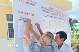Cử tri tìm hiểu thông tin các ứng cử viên đại biểu Quốc hội cũng như Hội đồng Nhân dân các cấp nhiệm kỳ 2026-2031 tại nhà văn hóa ấp Nước Mặn, xã Hưng Hội. (Ảnh: TTXVN phát)