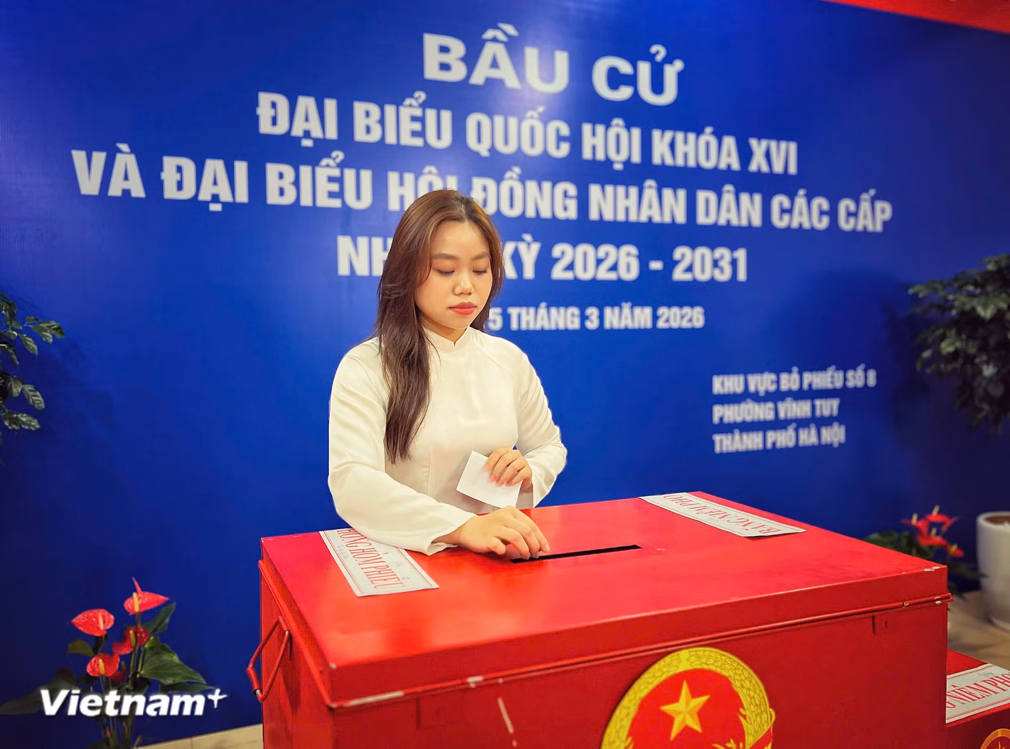 vnp-linh-bau-cu.jpg