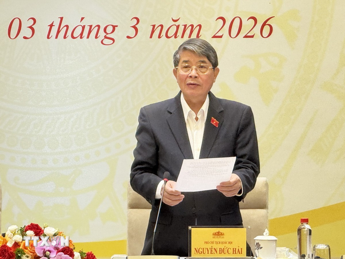 Phó Chủ tịch Quốc hội Nguyễn Đức Hải phát biểu khai mạc phiên họp. (Ảnh: Hải Ngọc/TTXVN)