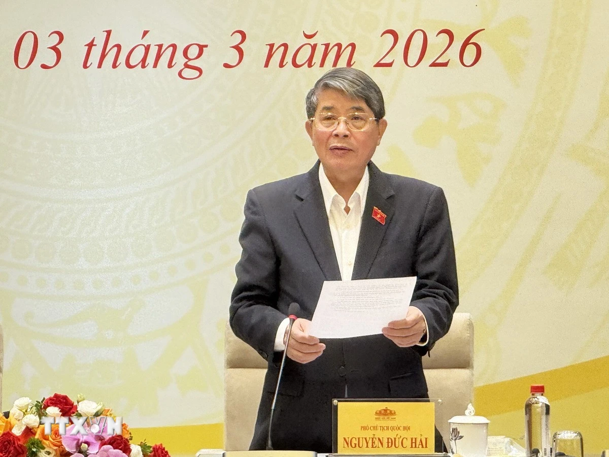 Phó Chủ tịch Quốc hội Nguyễn Đức Hải phát biểu khai mạc phiên họp. (Ảnh: Hải Ngọc/TTXVN)