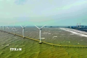 Các turbin gió tại Nhà máy điện gió Hàn Quốc-Trà Vinh. (Ảnh: Vũ Sinh/TTXVN)