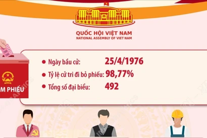 Kết quả bầu cử đại biểu Quốc hội khóa VI