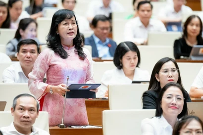 Bà Trần Thị Thu Đông, Phó Chủ tịch Liên hiệp các Hội Văn học nghệ thuật Việt Nam. Ảnh: NVCC