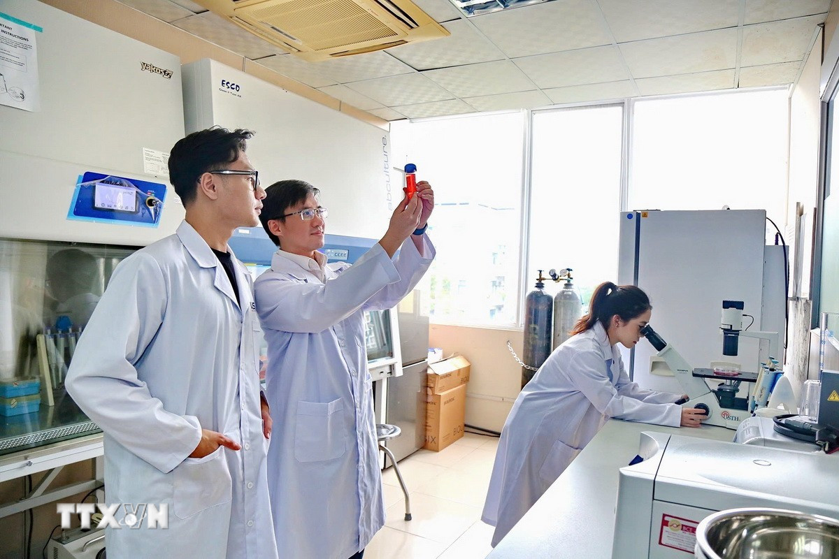 Các văn kiện lần này nhấn mạnh sâu sắc vai trò của giáo dục-đào tạo, khoa học-công nghệ, đổi mới sáng tạo. (Ảnh: Diệu Thúy/TTXVN)