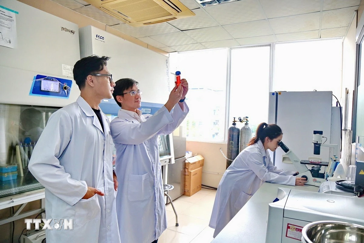 Các văn kiện lần này nhấn mạnh sâu sắc vai trò của giáo dục-đào tạo, khoa học-công nghệ, đổi mới sáng tạo. (Ảnh: Diệu Thúy/TTXVN)