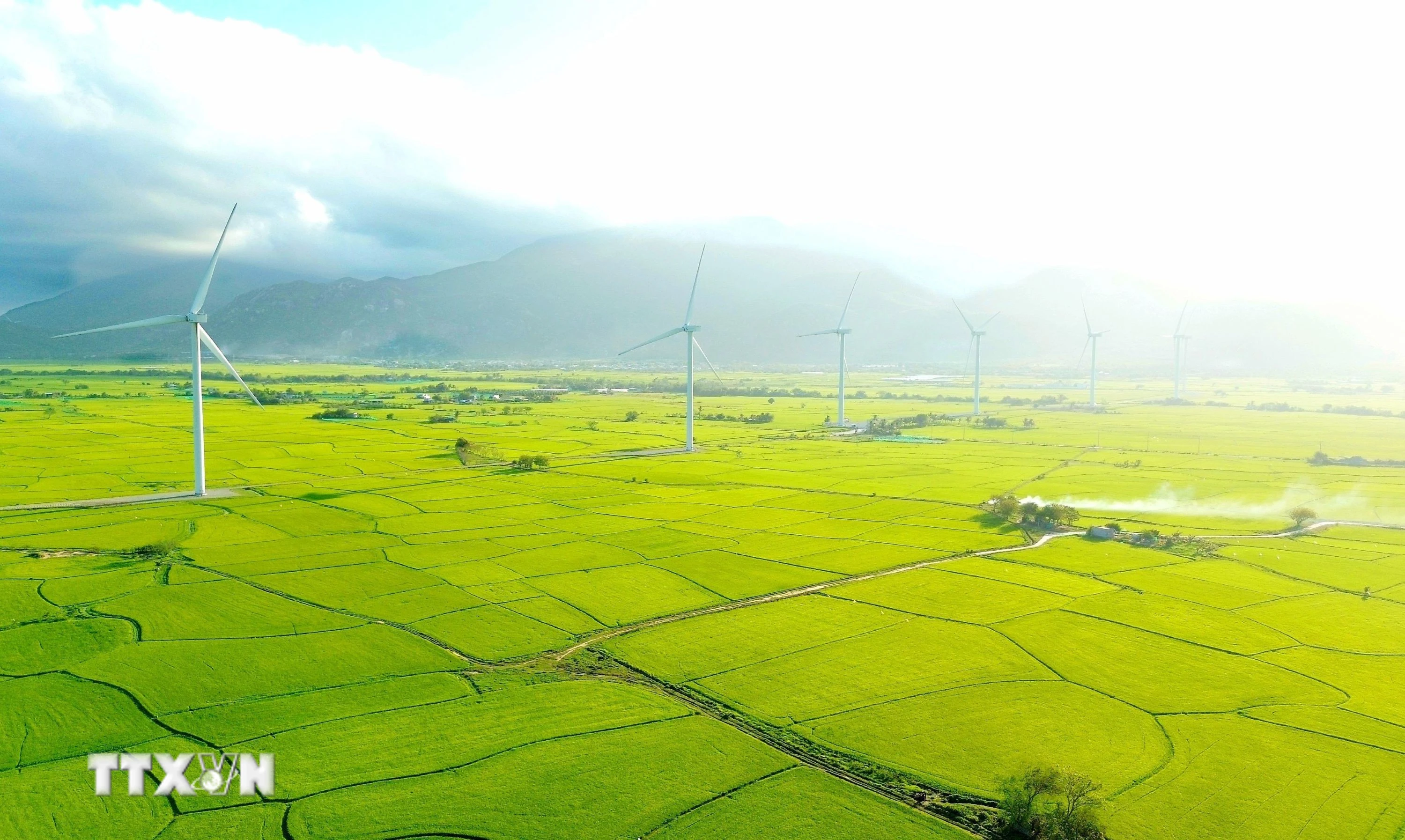 Cánh đồng điện gió Đầm Nại (Ninh Thuận). (Ảnh: Nguyễn Thành/TTXVN)