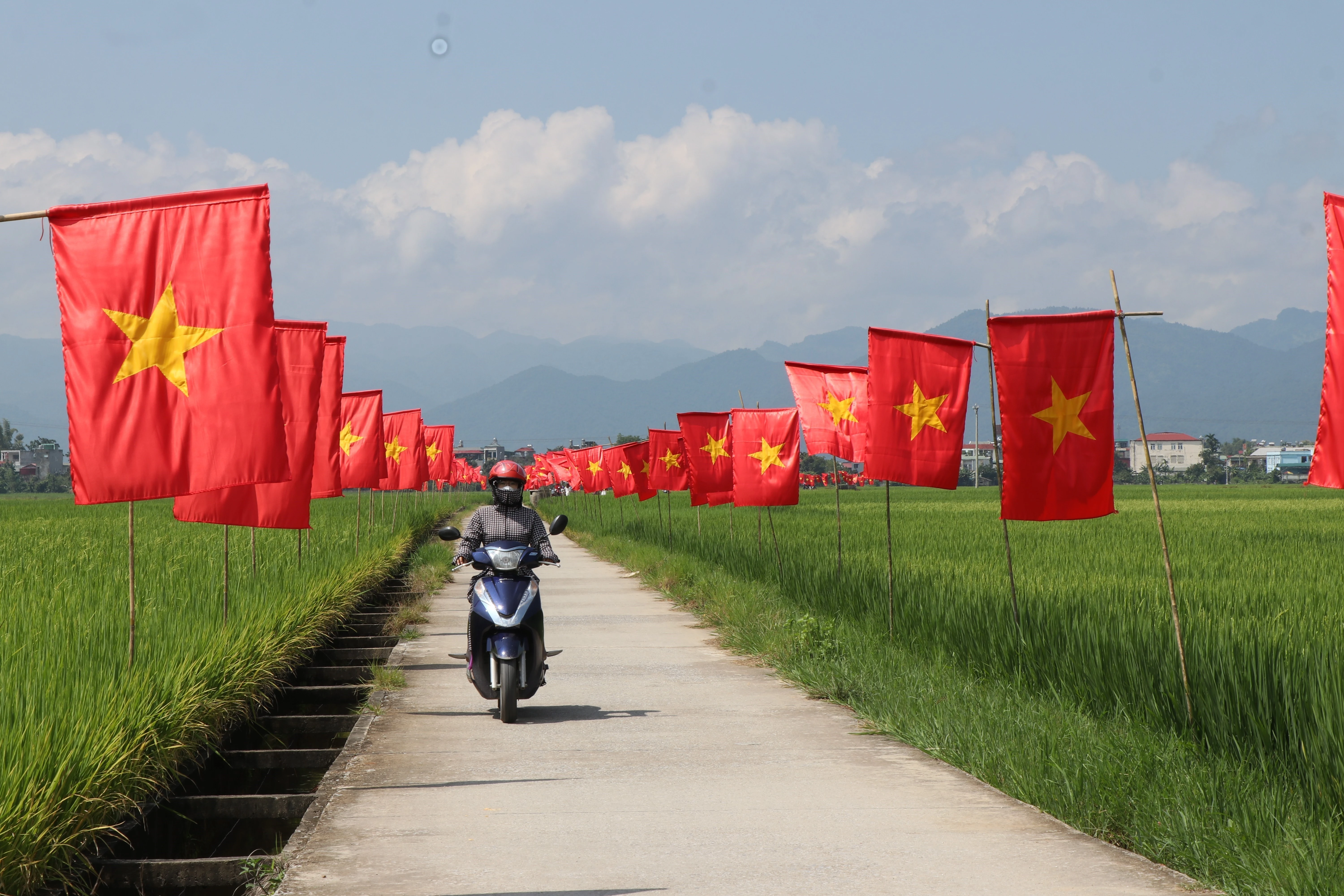 Tuyến đường trên cánh đồng Mường Thanh rợp bóng cờ Tổ quốc. (Ảnh: Phan Quân/TTXVN)