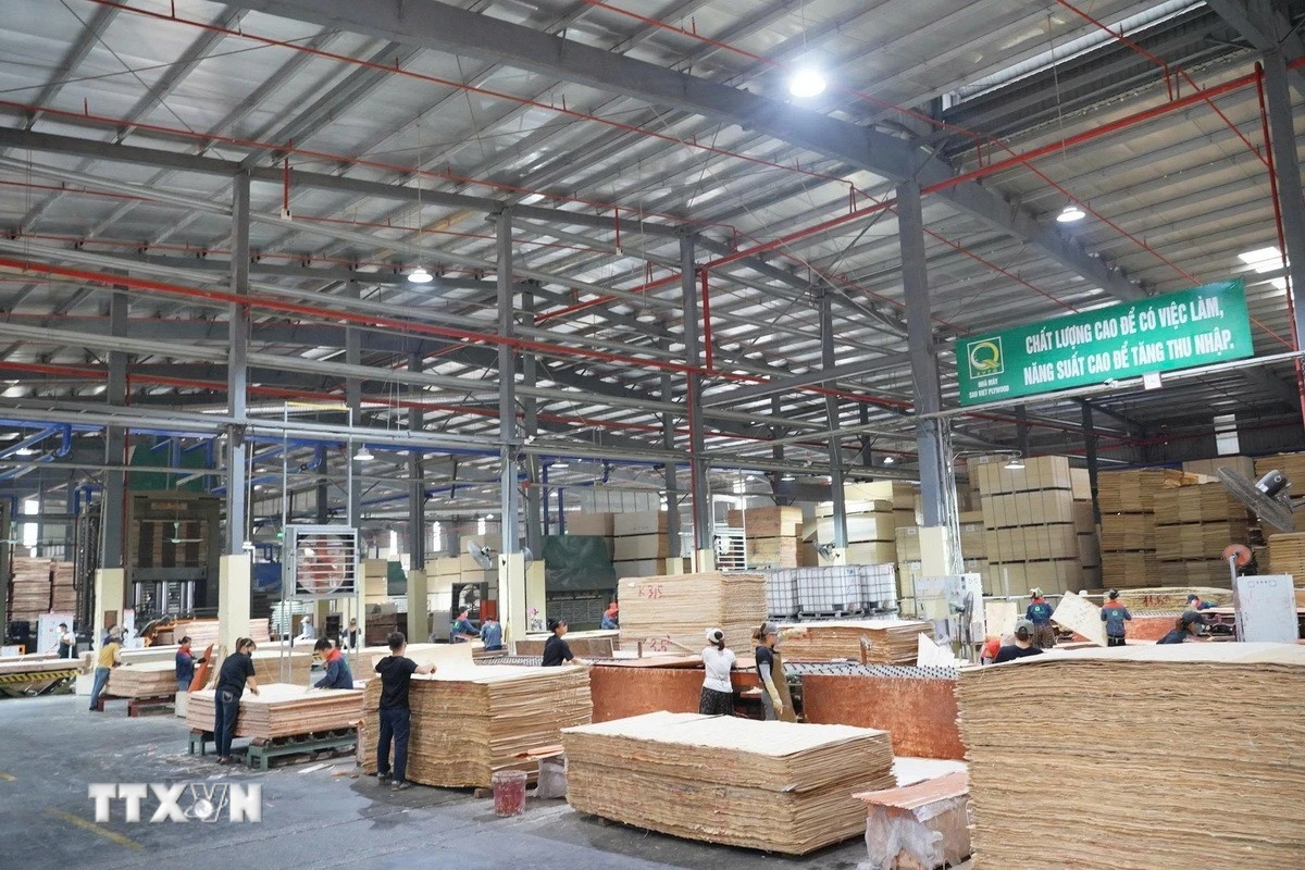 Phát triển công nghiệp chế biến gỗ gắn với lợi thế rừng trồng giữ vai trò chủ đạo trong phát triển công nghiệp, tạo động lực tăng trưởng cho Tuyên Quang trong giai đoạn phát triển mới. (Ảnh: Hoàng Hải/TTXVN)