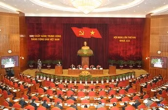 cd169883-resize.jpg