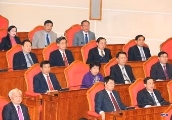 cd169876-resize.jpg