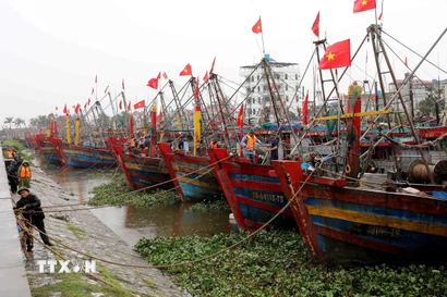 Cảng cá Tân Sơn, xã Thái Thụy (Hưng Yên). (Ảnh: Thế Duyệt/TTXVN)