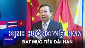 Định hướng cho Việt Nam đạt được mục tiêu dài hạn