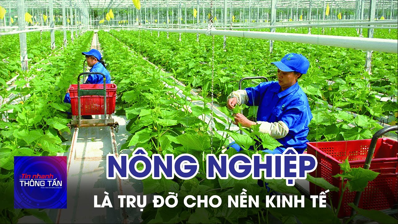 Nông nghiệp liên tục tăng trưởng và là trụ đỡ cho nền kinh tế 