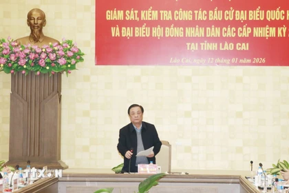 Phó Chủ tịch Quốc hội Lê Minh Hoan phát biểu tại buổi làm việc. (Ảnh: Tuấn Anh/TTXVN)