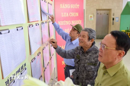 Danh sách người ứng cử, cử tri tại mỗi khu vực bỏ phiếu đều được niêm yết công khai. (Ảnh: Thanh Tùng/TTXVN)