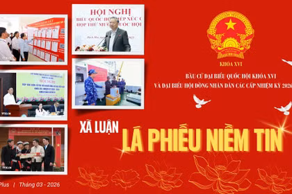 Lá phiếu niềm tin