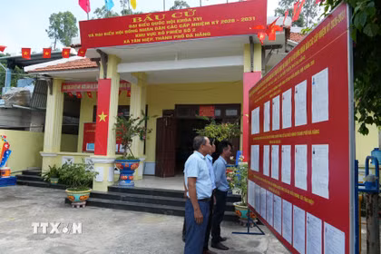 Cử tri tìm hiểu thông tin về các ứng cử viên. (Ảnh: Anh Dũng/TTXVN)