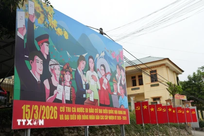 Cờ hoa và băngrôn khẩu hiệu tuyên truyền về bầu cử. (Nguồn: TTXVN)