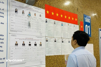 Người dân tìm hiểu thông tin về các ứng cử viên. (Ảnh: Trí Đức/Vietnam+)