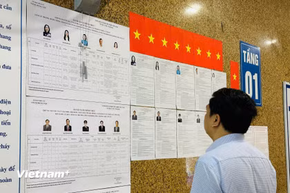 Người dân tìm hiểu thông tin về các ứng cử viên. (Ảnh: Trí Đức/Vietnam+)