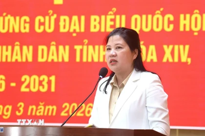 Phó Chủ tịch Hội đồng Dân tộc của Quốc hội Đinh Thị Phương Lan thông qua chương trình hành động với cử tri đặc khu Lý Sơn. (Ảnh: TTXVN phát)