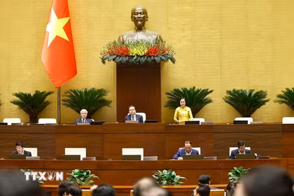 Phó Chủ tịch Quốc hội Nguyễn Thị Thanh phát biểu tại phiên họp Quốc hội thảo luận về dự án Luật Báo chí (sửa đổi) 24/11/2025. (Ảnh: Doãn Tấn/TTXVN)