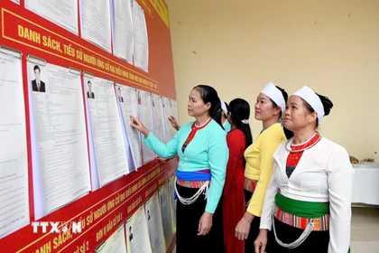 Nghiên cứu danh sách các ứng cử viên. (Ảnh: Tạ Toàn/TTXVN)