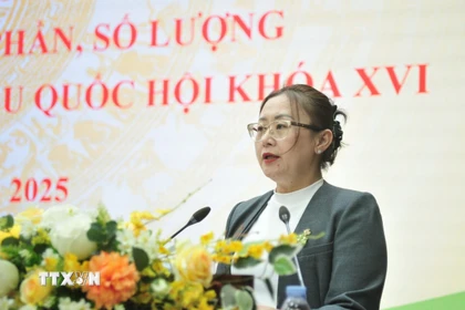 Bà Giàng Thị Dung, Phó Bí thư Tỉnh ủy, Chủ tịch Ủy ban Mặt trận Tổ quốc Việt Nam tỉnh Lào Cai phát biểu tại hội nghị. (Ảnh: Tuấn Khôi/TTXVN)