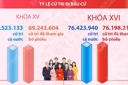 Bầu cử Quốc hội và HĐND: 99,70% cử tri cả nước tham gia bỏ phiếu