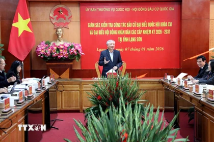 Phó Thủ tướng Thường trực Nguyễn Hòa Bình phát biểu tại buổi làm việc. (Ảnh: Văn Đạt/TTXVN)