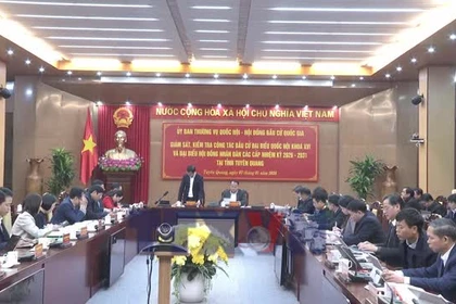 Hội đồng Bầu cử Quốc gia làm việc tại Tuyên Quang